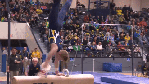 Flip Pommel Horse Gymnastics GIF