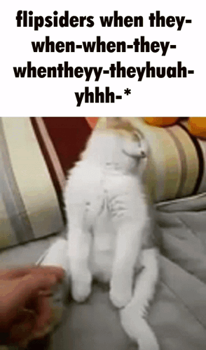 Flip Siders When The Fell Asleep GIF