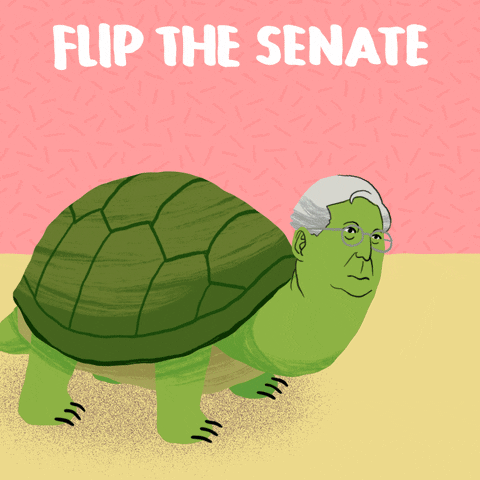 Flip The Senate Mitch Mcconnell Turtle GIF