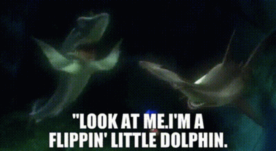 Flipping Little Dolphin GIF