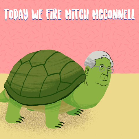 Flipping Mitch Mcconnell Turtle GIF