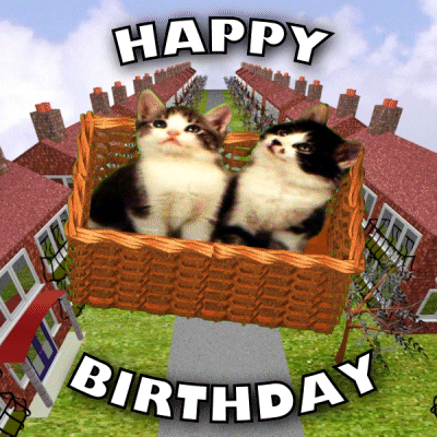 Floating Cat In Basket Funny Happy Birthday Meme GIF
