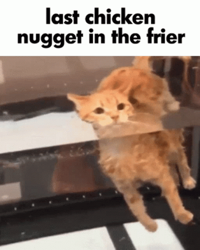 Floating Cat Last Nugget In Fryer Meme GIF