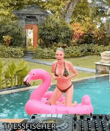 Floating On A Flamingo GIF