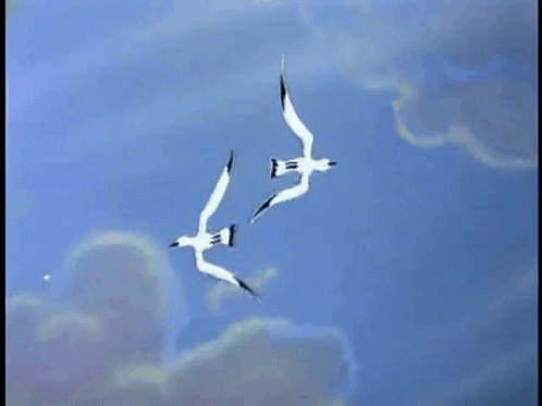 Flock of Seagulls Flying in Blue Sky