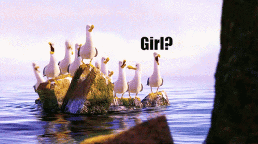 Flock Of Seagulls Screaming Girls Meme GIF