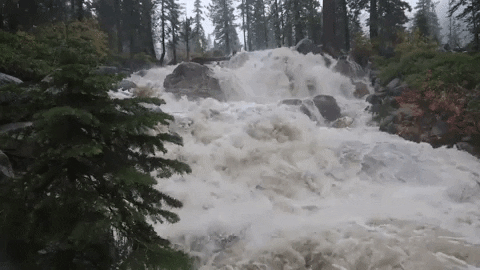 Flood Produced By Bomb Cyclone GIF