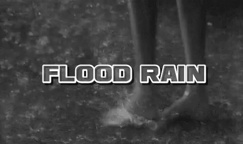 Flood Rain Walking Feet Black And White GIF