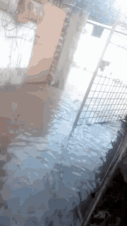 Flood Water Overflow Inside Garage GIF