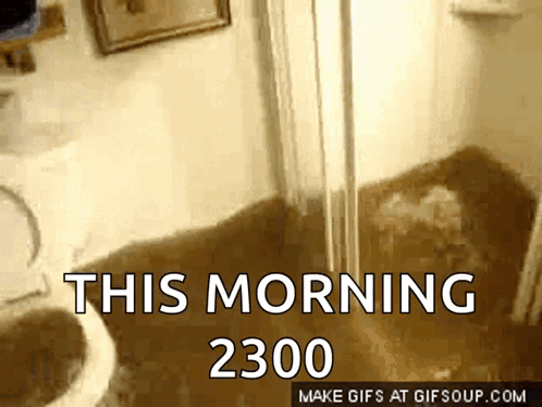 Flooded Bathroom with 2300 This Morning