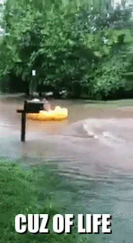 Flooded Duck Floatie GIF