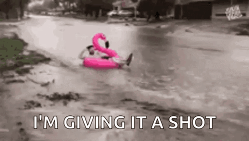 Flooded In Flamingo Floatie GIF