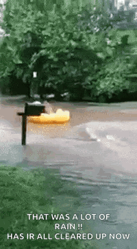 Flooded Street With Mailbox And Duck GIF