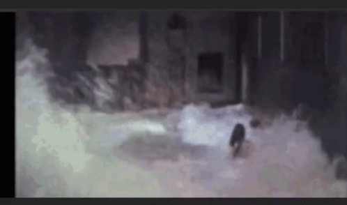 Flooded Underground Sweeping People GIF