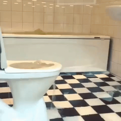 Flooded Water In The Toilet GIF