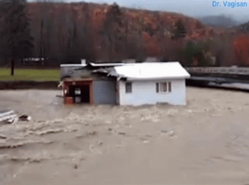 Flooded White House With Dr Vagisan GIF
