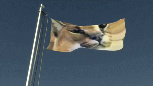 Floppa Flag Waving Freely Windy Day GIF