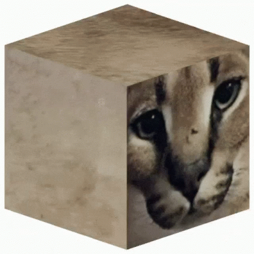 Floppa Head On Rotating Cube GIF
