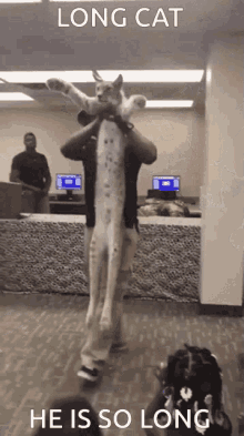 Floppa Long Cat He Is So Long GIF