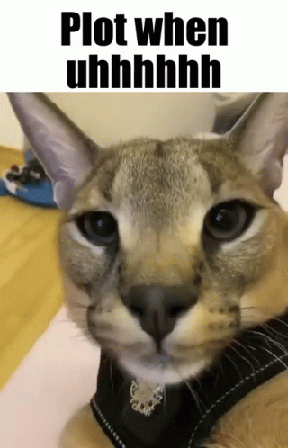 Floppa Snarling On Camera GIF