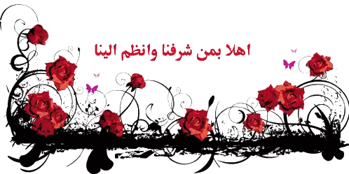 Floral Design Red Roses Swirls Arabic Writing