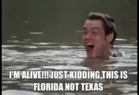 I'm Alive Just Kidding Florida Not Texas GIF