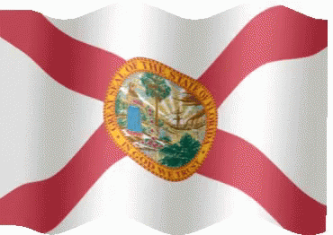 Waving State Of Florida Flag GIF
