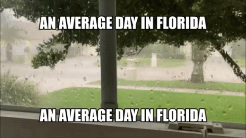 Average Day In Florida Rainy Weather GIF