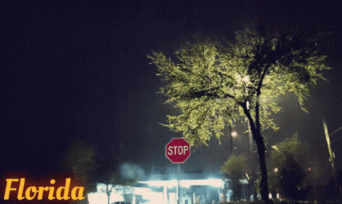 Florida Raining And Lightning Weather GIF