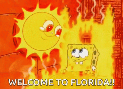 Welcome To Florida Burning Spongebob GIF