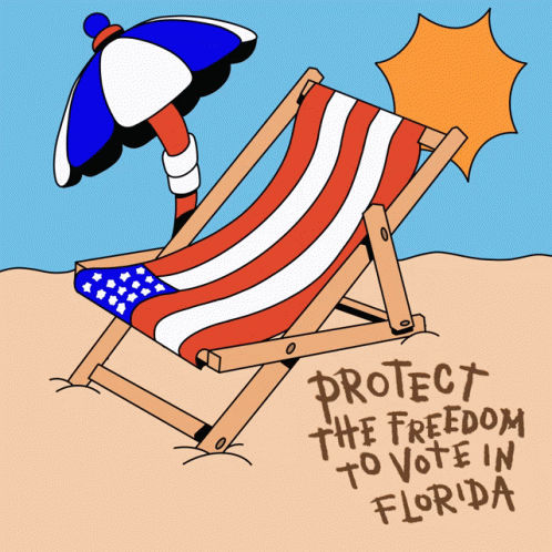 Protect The Freedom To Vote In Florida GIF