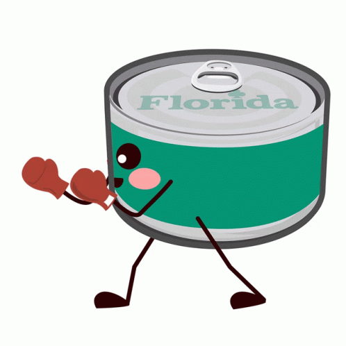 Florida Can Go Sports GIF