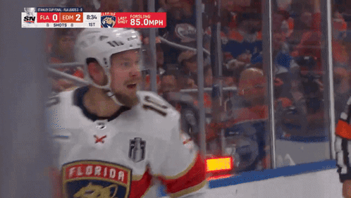 Florida Panthers Hockey Player