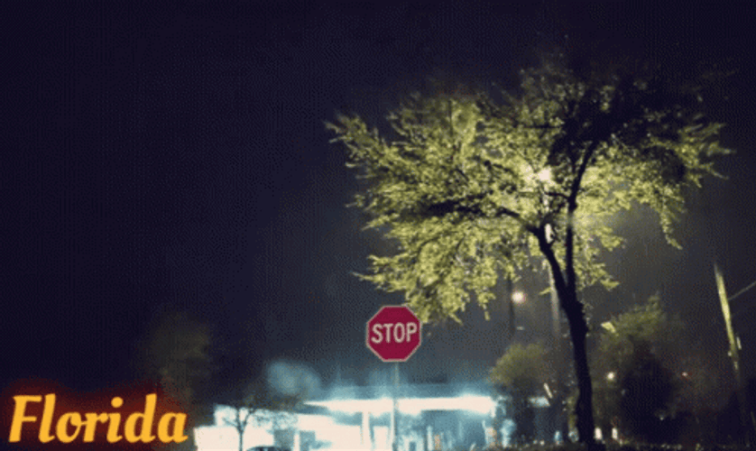 Florida Raining And Lightning Weather GIF