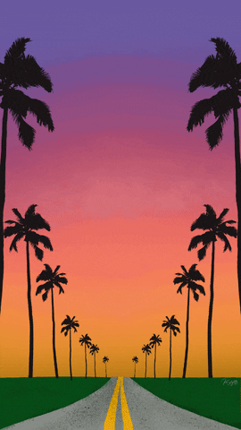 Florida Sky Palm Tree Line Animation GIF