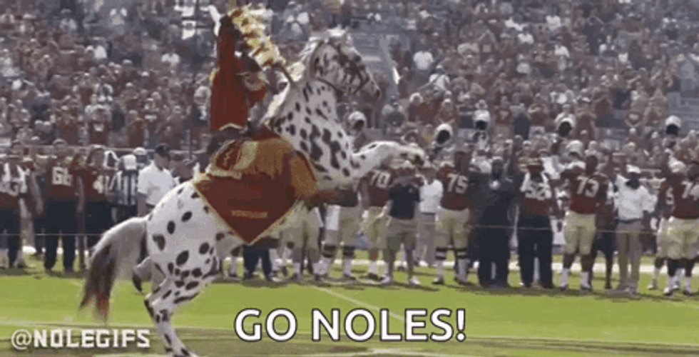 Florida State Go Noles Cheer GIF