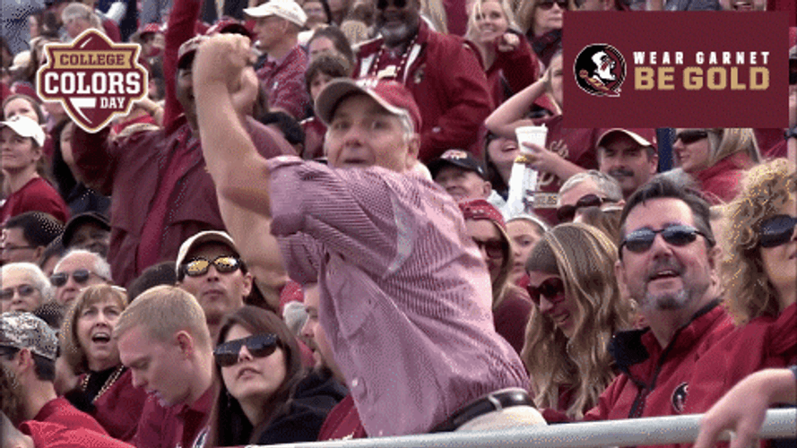 Florida State Goofy Fans Dancing GIF