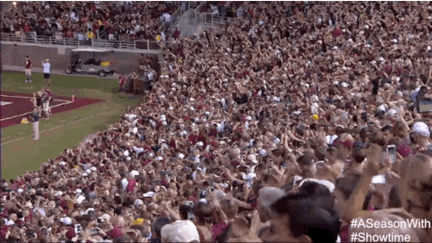 Florida State Many Fans Cheering GIF