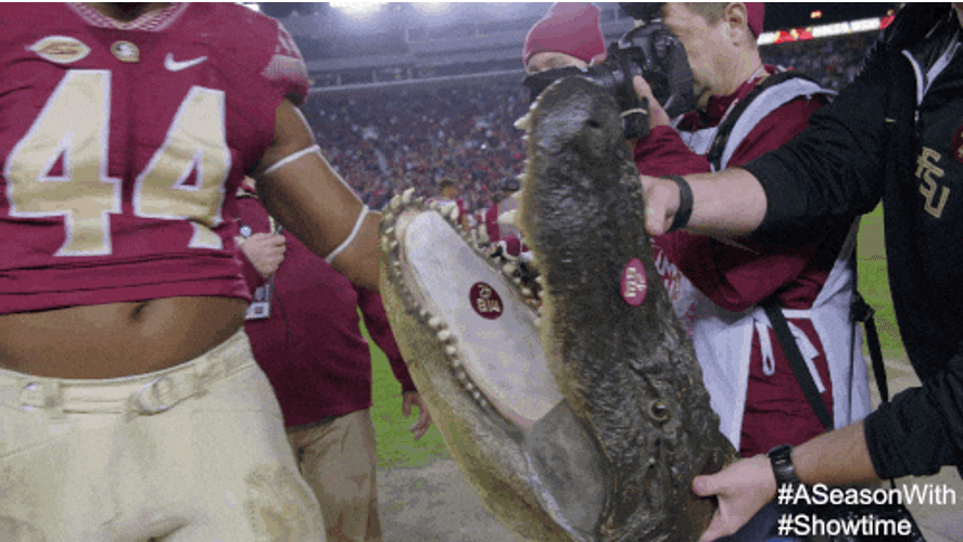 Florida State Raising The Crocodile Head Trophy GIF