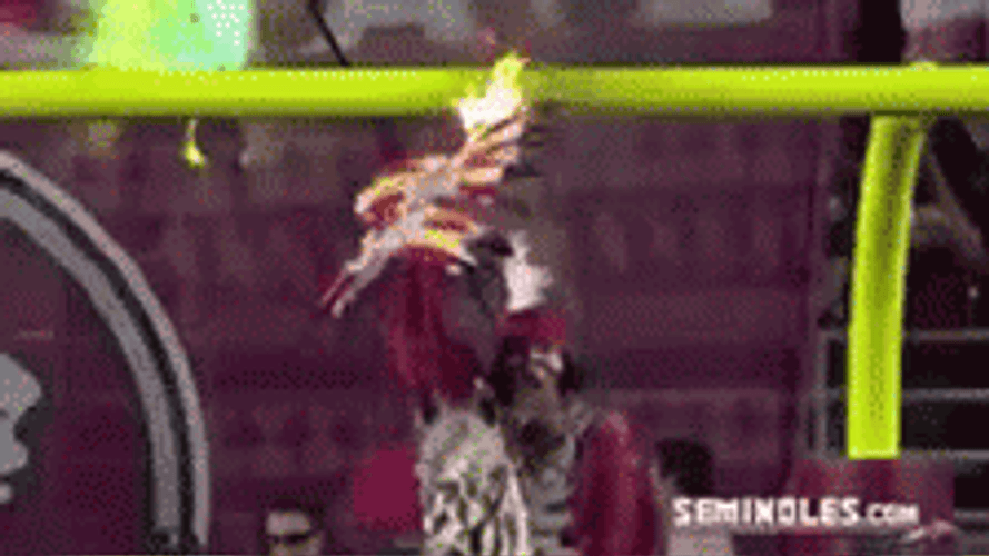Florida State Riding Horse Tradition GIF