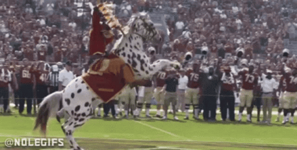 Florida State Sticking The Stick GIF