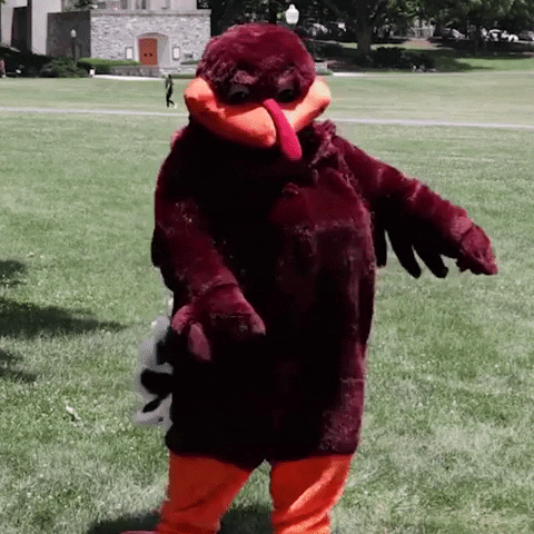 Floss Dancing Hokies GIF