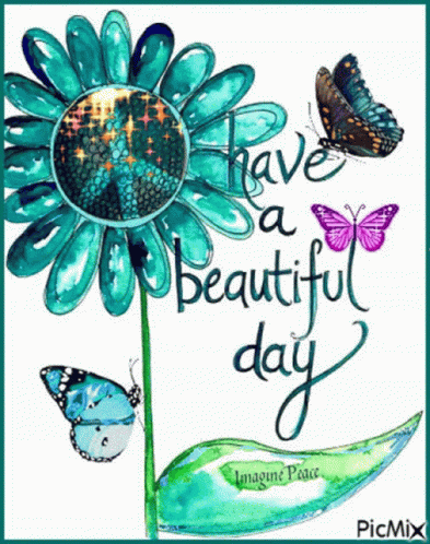 Flower And Butterflies Have A Beautiful Day GIF