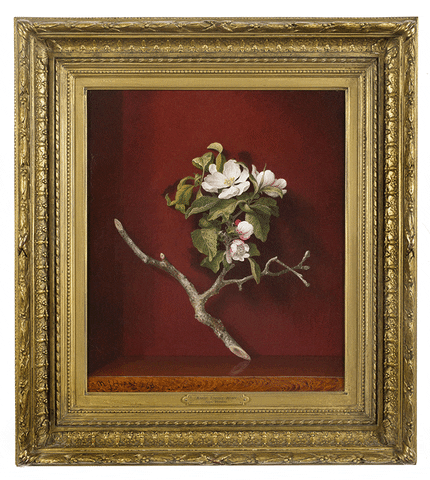 Flower Apple Frame GIF