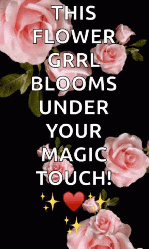 Pink Roses Flower Blooming GIF