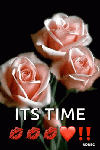 Its Time Pink Rose Flower Blooming GIF