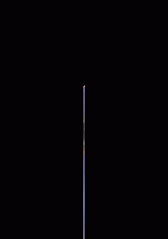Flower Blooming Loop GIF