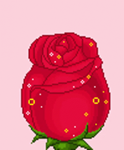 Animated Red Roses Flower Blooming GIF