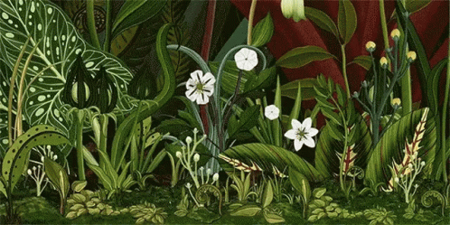 Animated Different Flower Blooming GIF