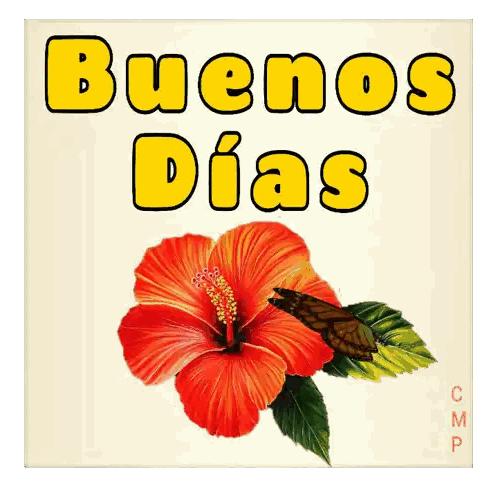 Flower Buenos Dias
